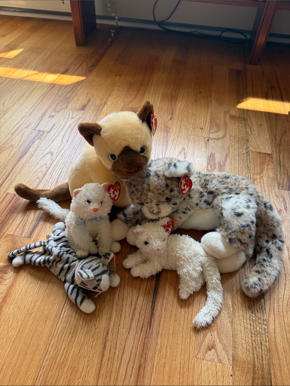 Ty Beanie Babies Plush Cat Bundle / including classic and regular size